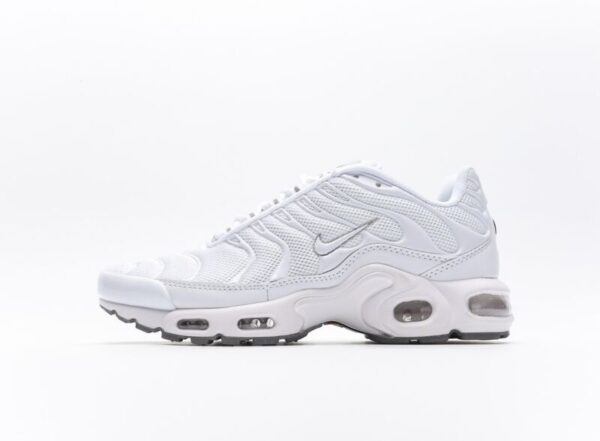 Air Max Plus TN