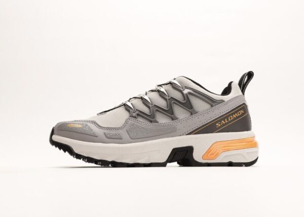 Salomon ACS