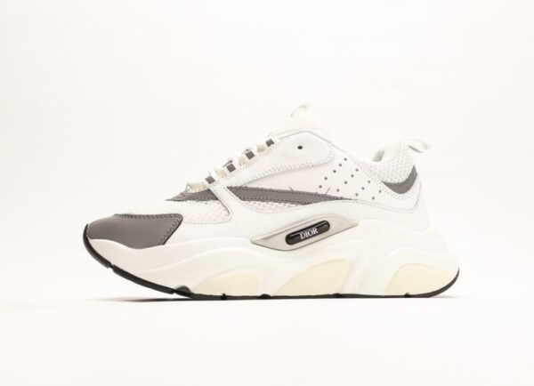Dior B22 White/Grey