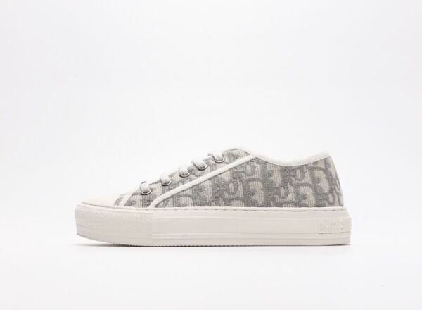 Dior Walk'N'Dior Grey Oblique